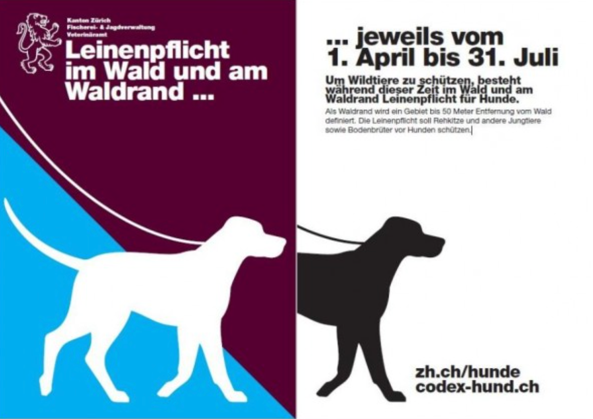 Ein blau-violettes Poster mit einem weißen Hund links und einem schwarzen Hund rechts