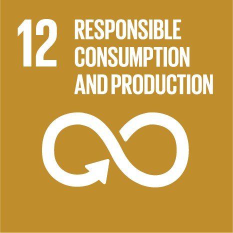Sustainable Development Goal Responsible Consumption and Production