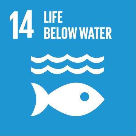 Sustainable Development Goal Life Below Water