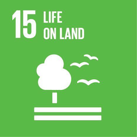 Sustainable Development Goal Life on Land