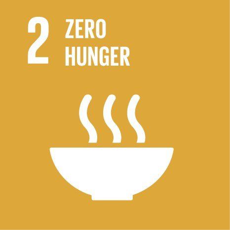 Sustainable Development Goal Good Health and Well-Being