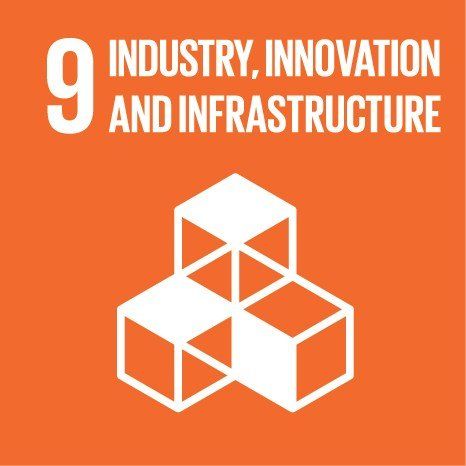Millennium Development Goal Industry, Innovation and Infrastructure