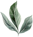 Three watercolor-style green leaves arranged in a cluster.