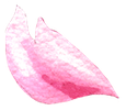 Pink watercolor cherry blossom petal.