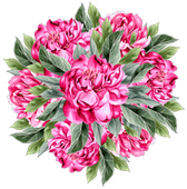 Pink peony bouquet with green leaves on a white background.