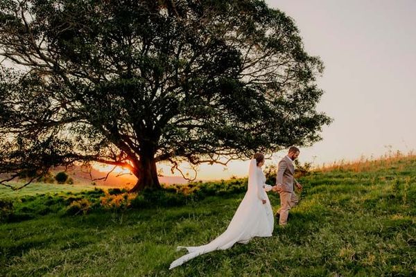 Bride and groom walk on a grassy hill at sunset, holding hands under a large tree.