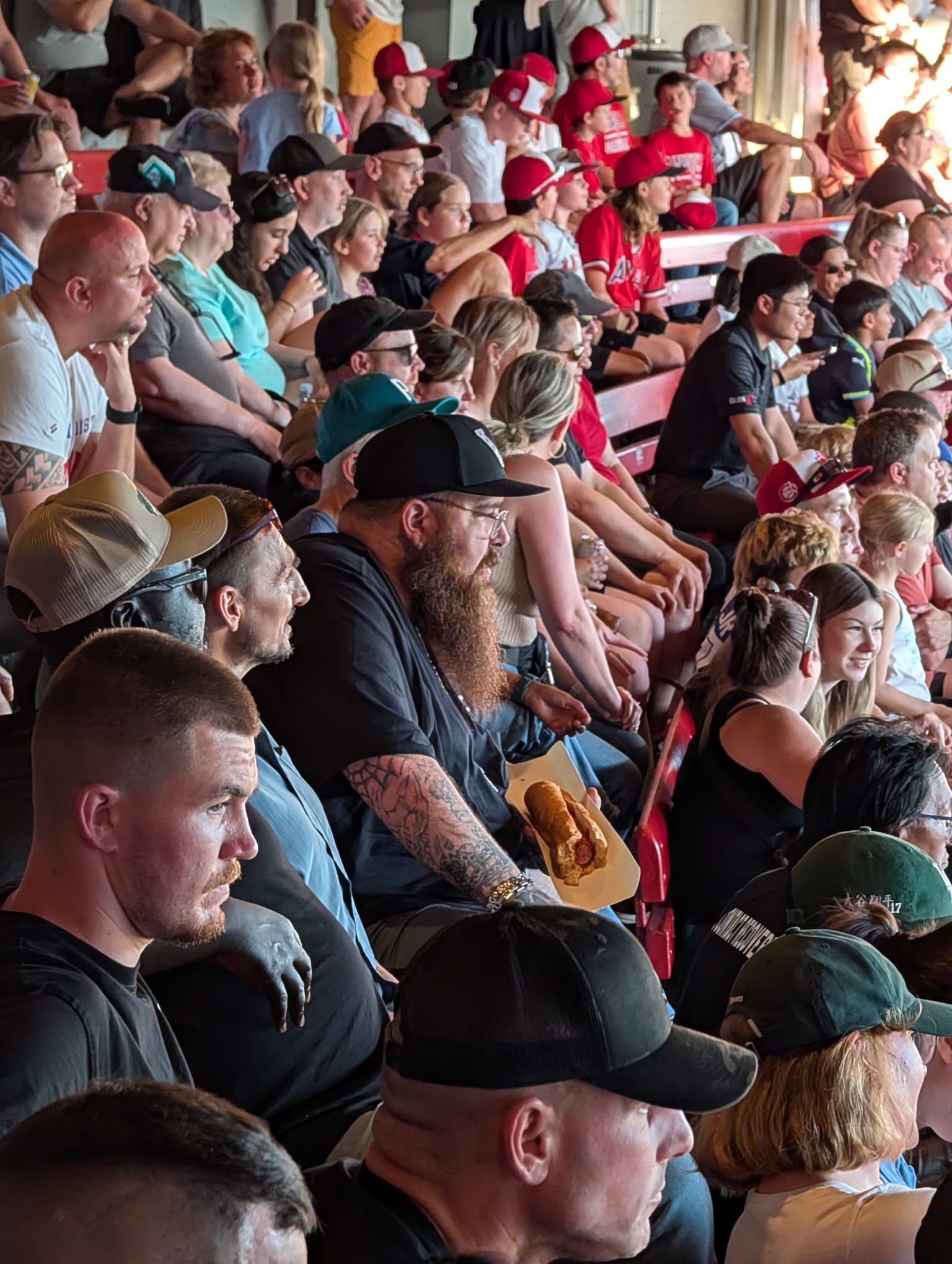 Group photo of people at a baseball game