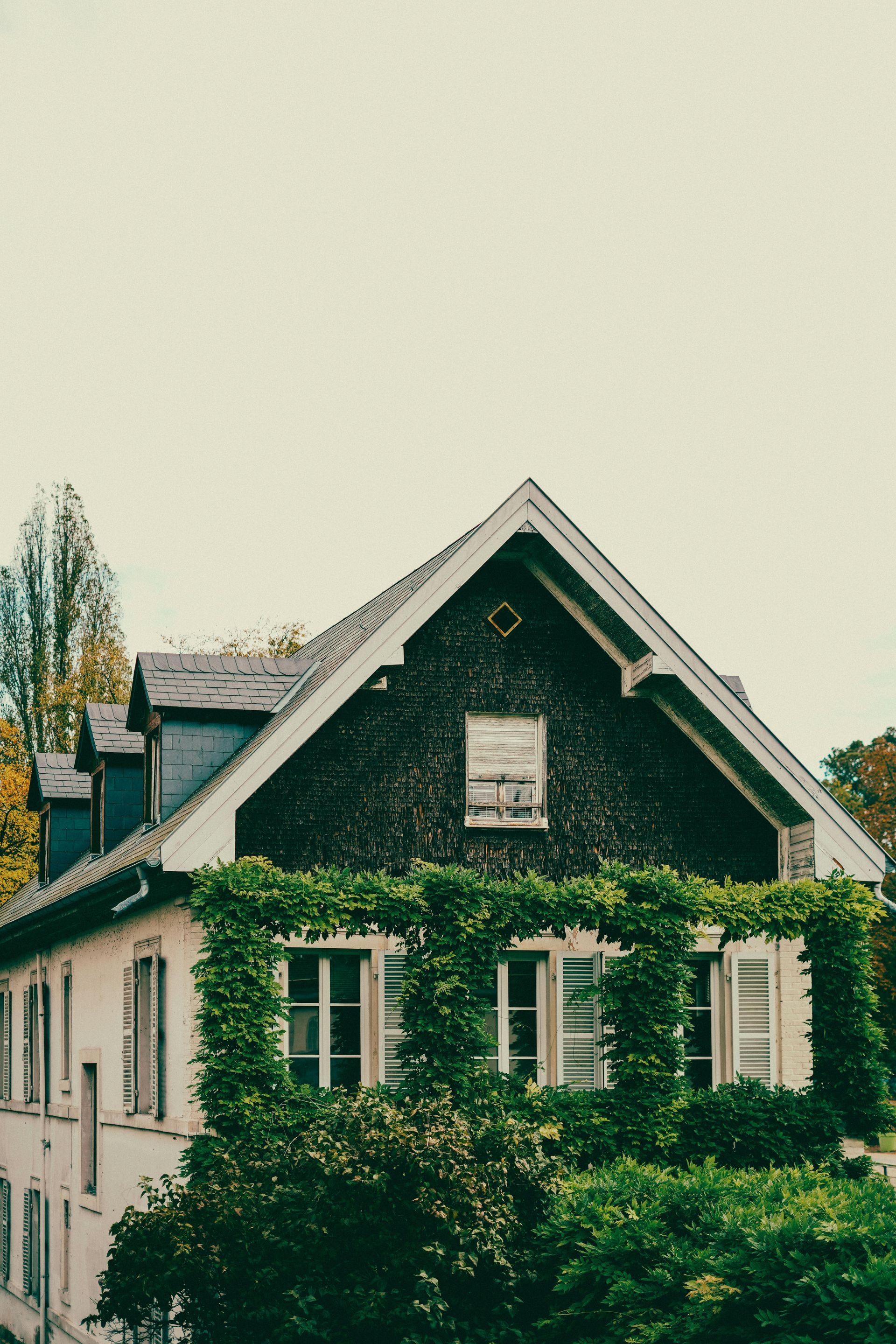 A house with a dark, shingled roof and ivy-covered walls; windows with shutters.