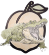 Alligator with open jaws inside a peach, green, brown, and black.