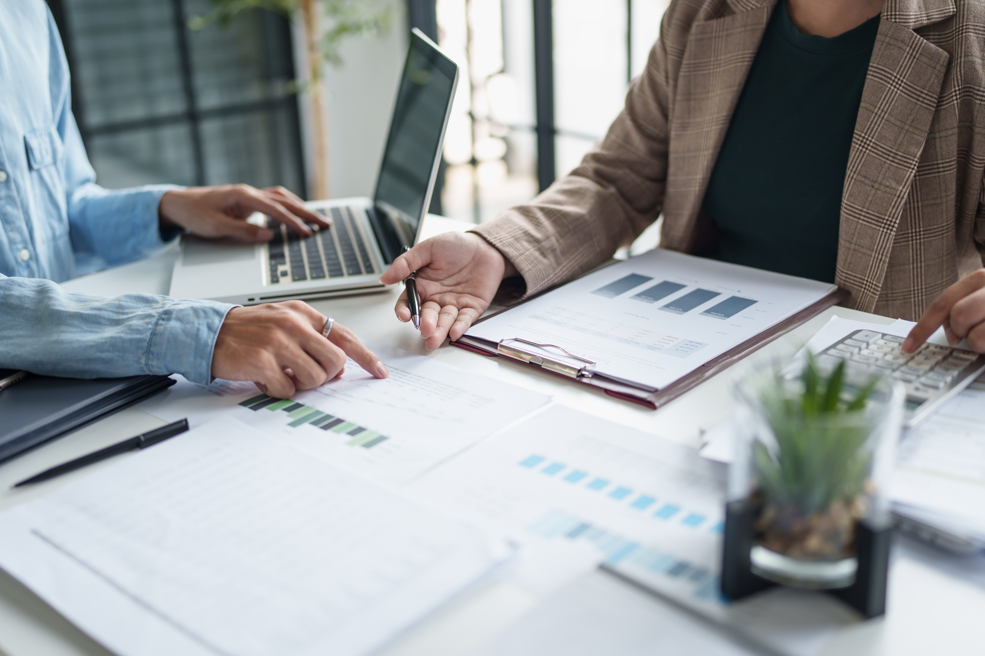 Two people reviewing documents and laptop at a desk with charts and a plant.
