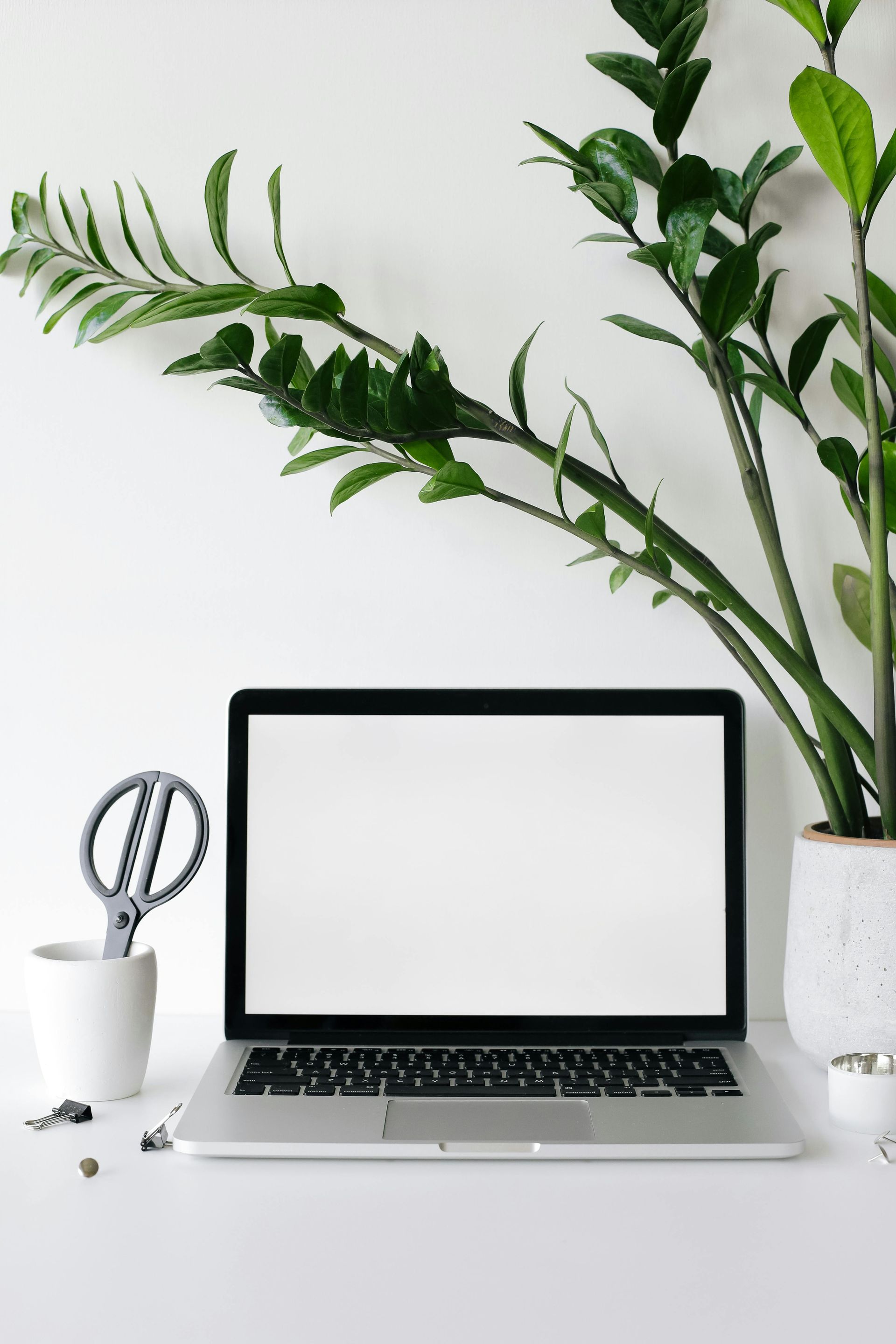 A laptop is sitting on a desk next to a potted plant and scissors.