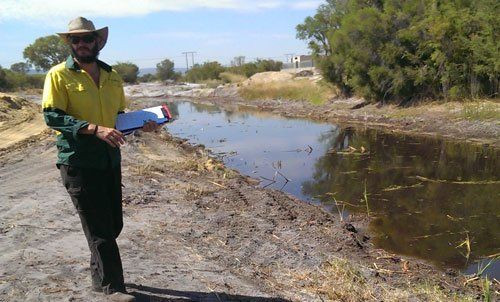 Expert checking environmental and ecological issues