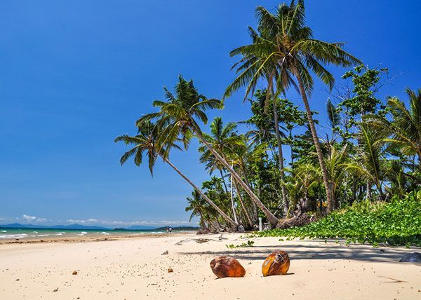 Stunning View Of Beach - Skilled Fabrication on the Cassowary Coast