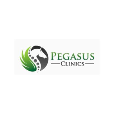 A pegasus clinics logo with a horse head and a green leaf.