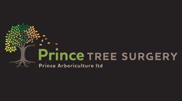 Get more Reviews and Google reviews