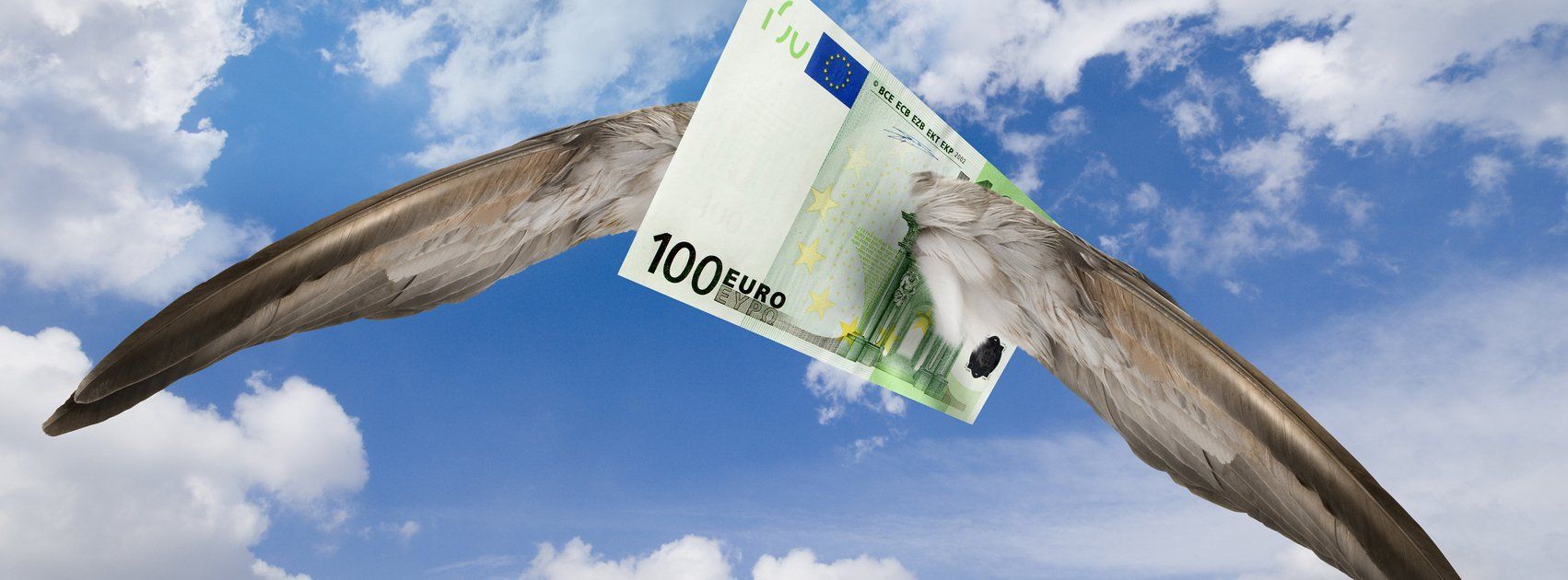 100 euro biljet met vleugels