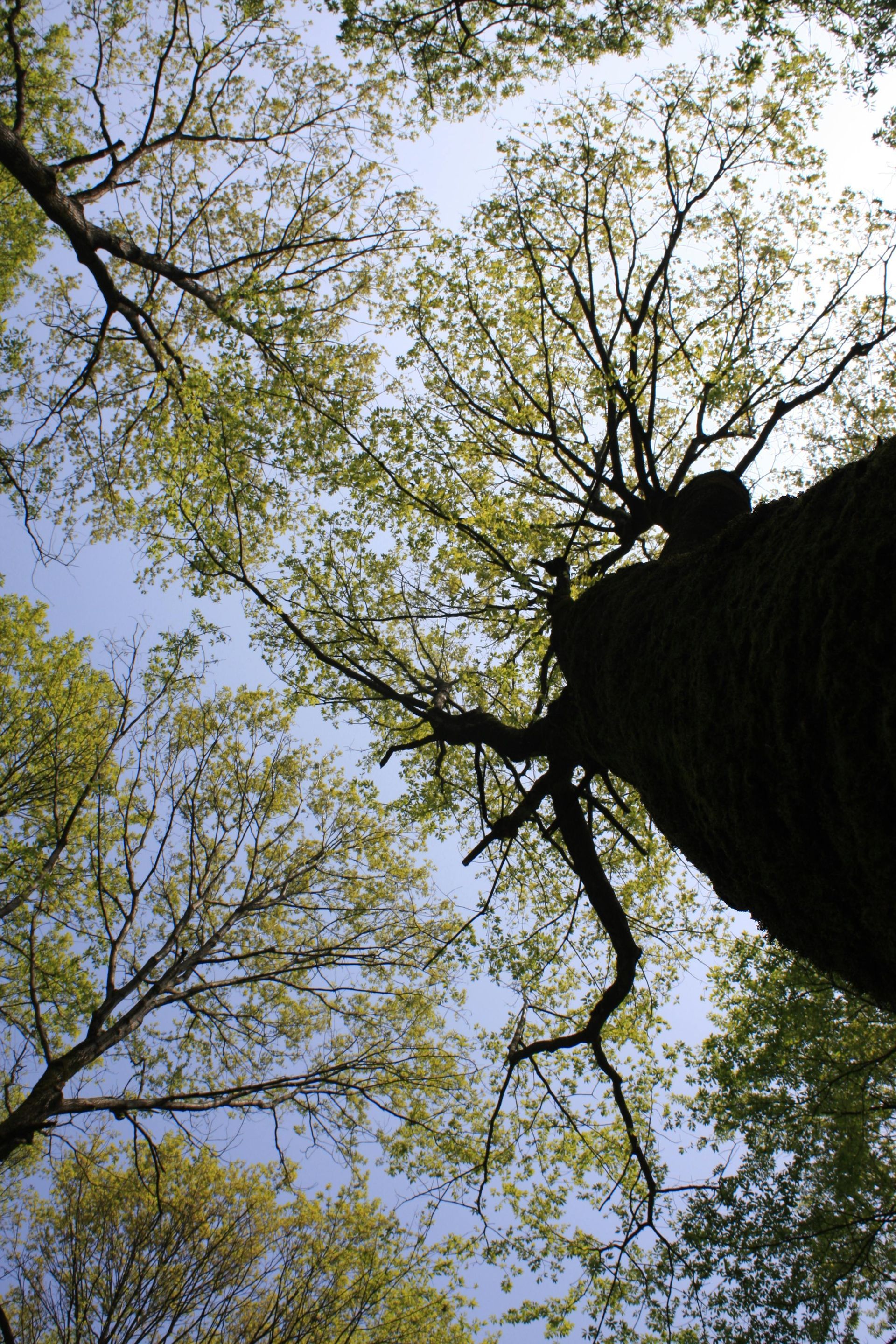 Life Transitions Therapy in Colorado | Online Support for Change & Uncertainty