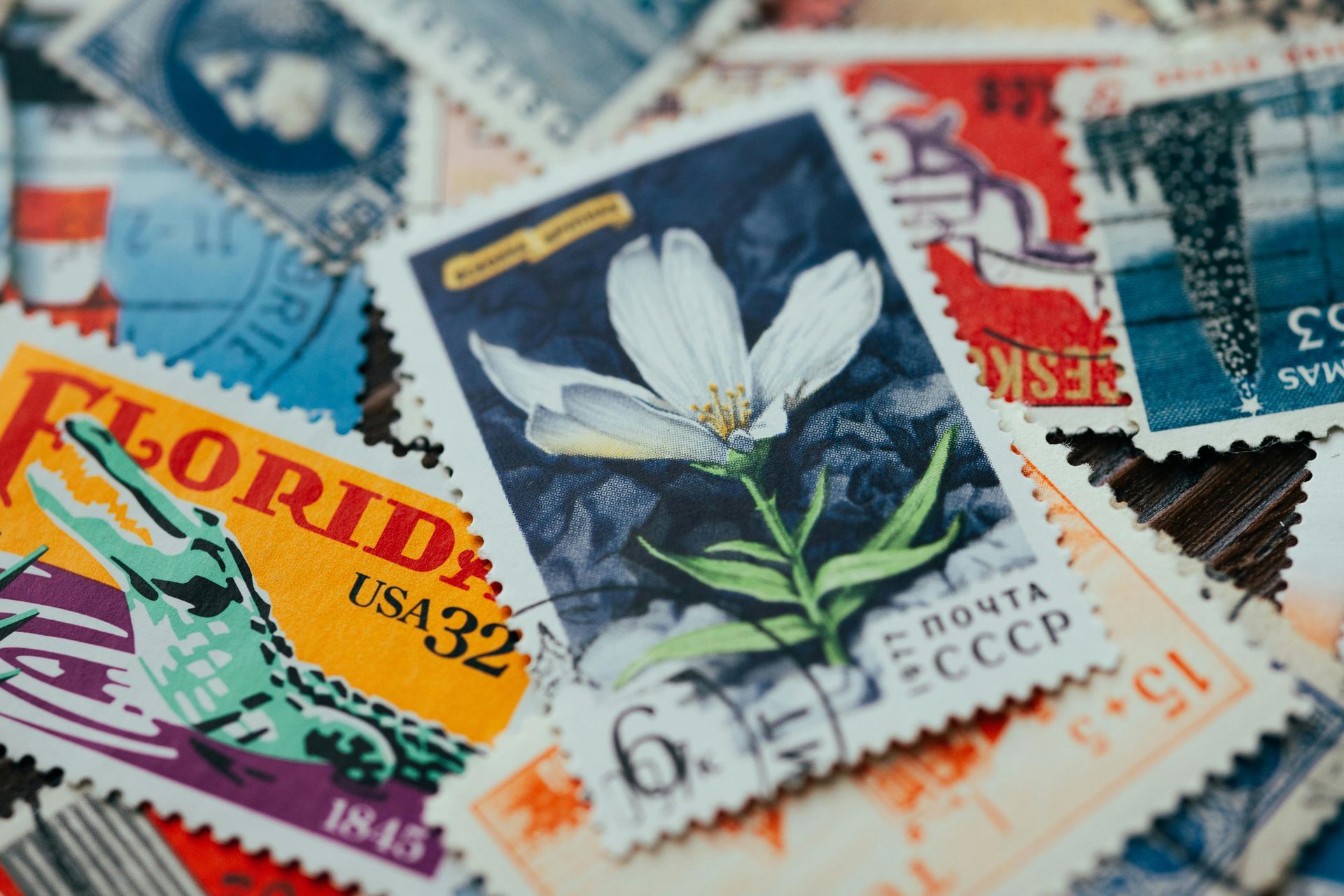 Close-up of a pile of colorful postage stamps, including a Florida gator and a flower.