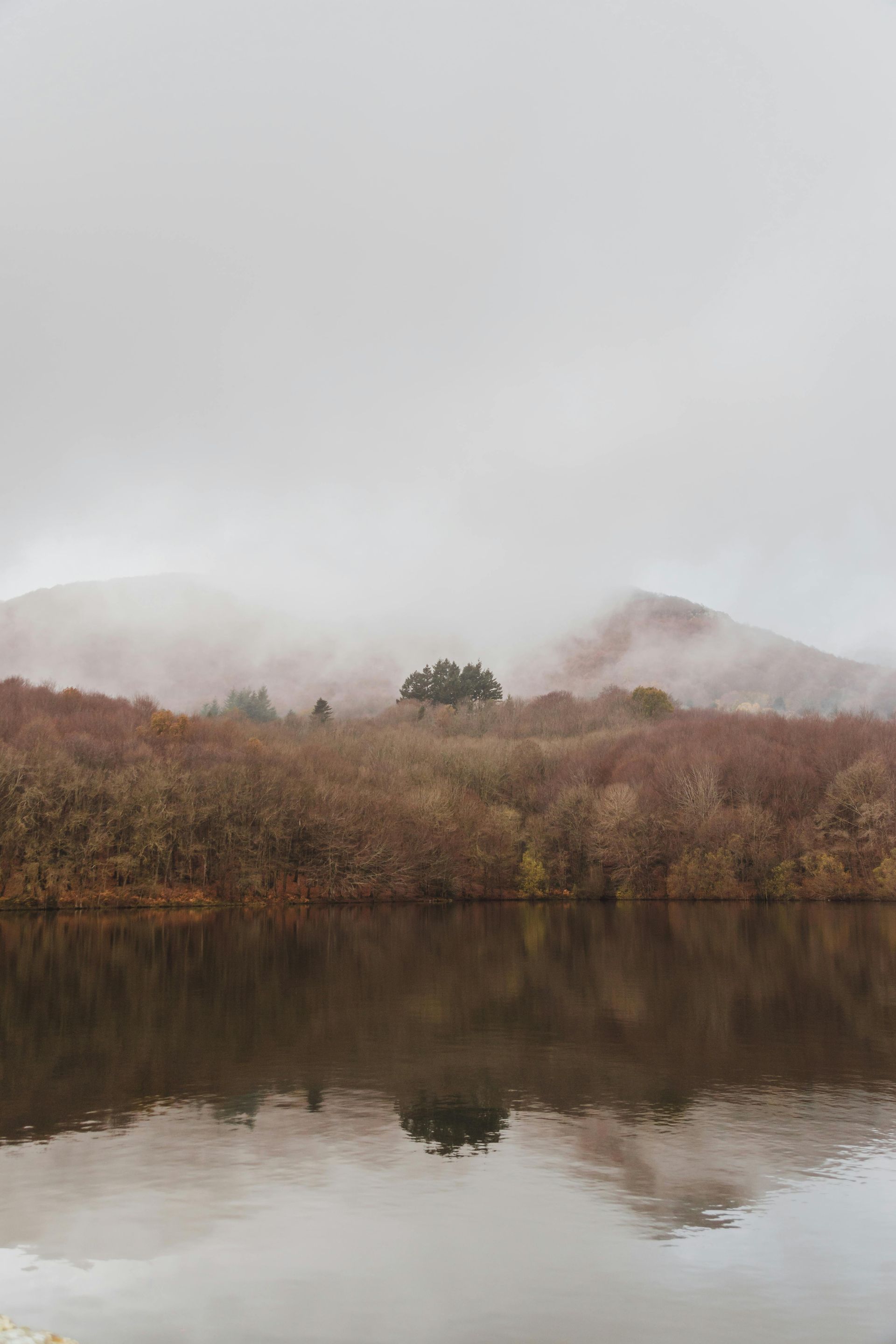 A misty lake reflecting a tree-lined shore and obscured mountains under a cloudy sky.