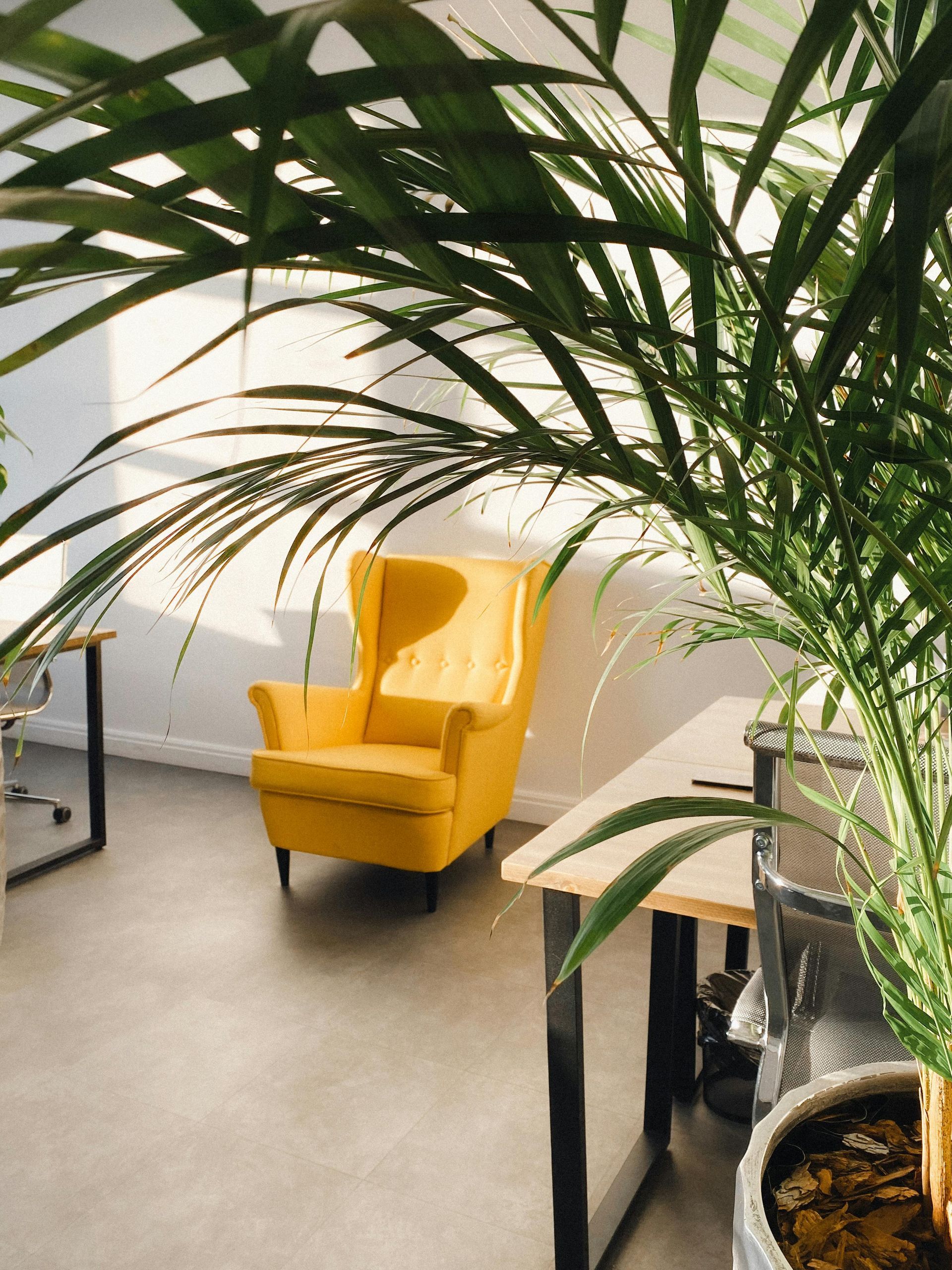 Yellow armchair in a bright room with a desk and leafy plant.