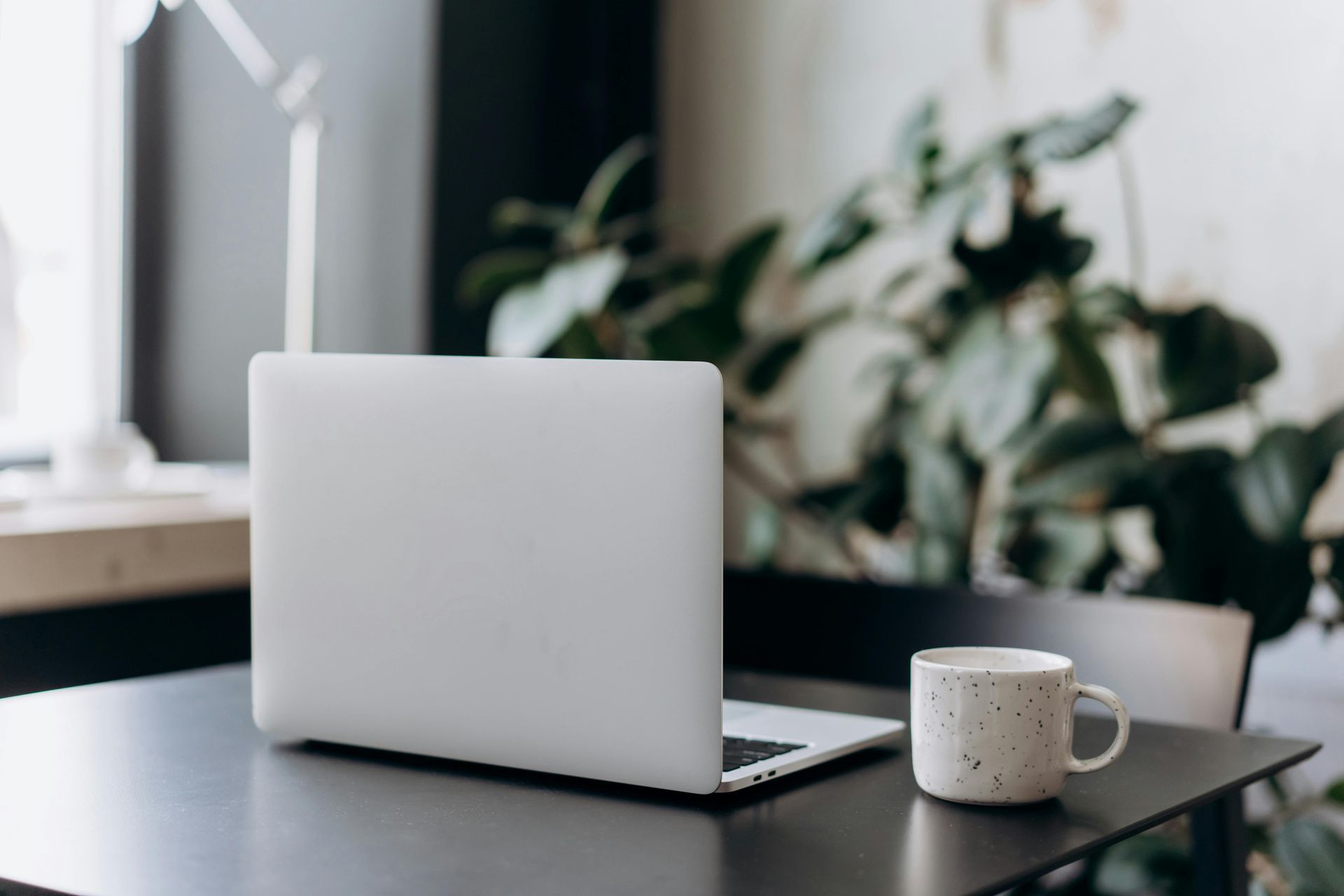 Laptop on a dark desk next to a mug, with a plant in the background near a window.
