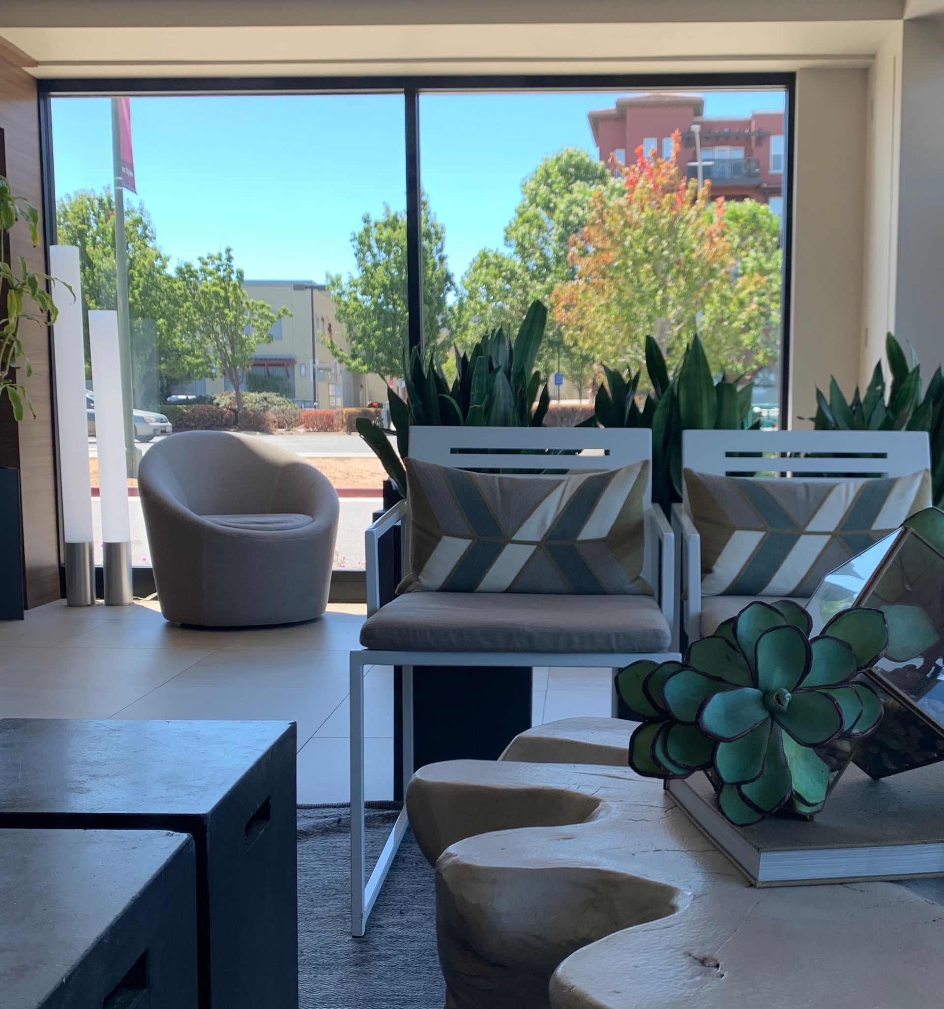 A sunlit indoor seating area features white chairs with patterned pillows, a round armchair, and a decorative succulent.