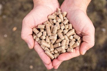 Dry animal feed in the hands of a farmer