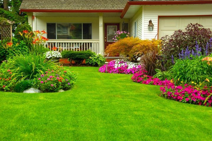 Manicured House and Garden 