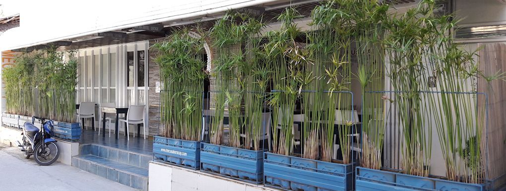 A motorcycle is parked in front of a building with a fence surrounded by plants.