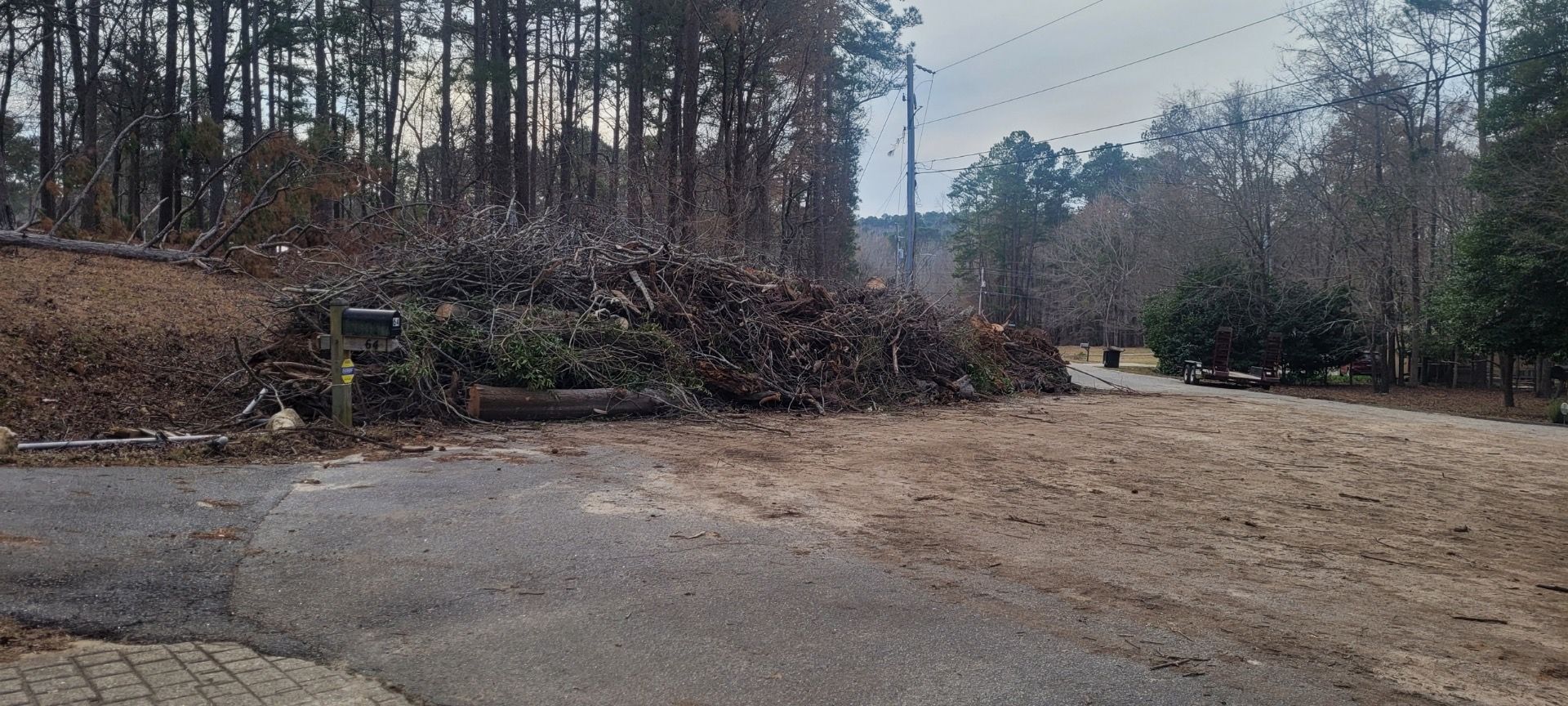 A pile of branches is blocking a road in the middle of a forest.