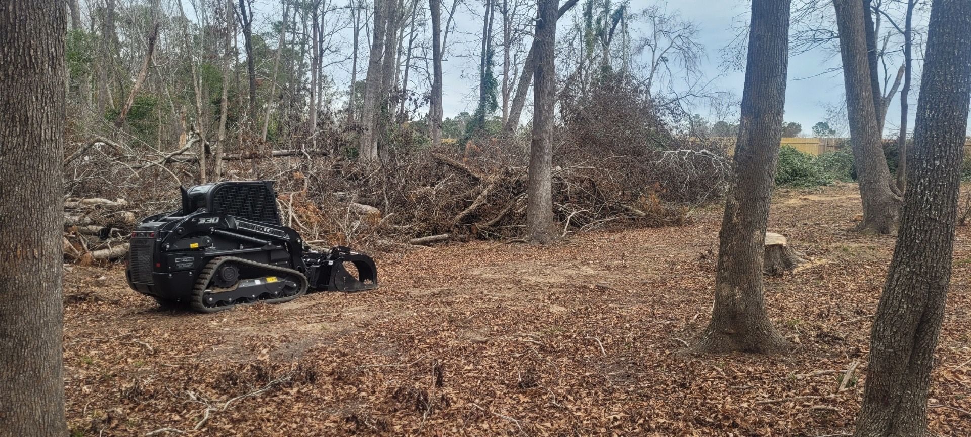 A black tractor is sitting in the middle of a forest.
