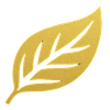 A gold leaf with a white stem on a white background