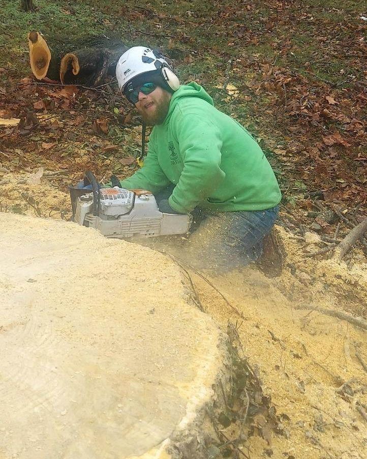 Man in green hoodie using a chainsaw to cut a large tree trunk, generating sawdust in a wooded area.