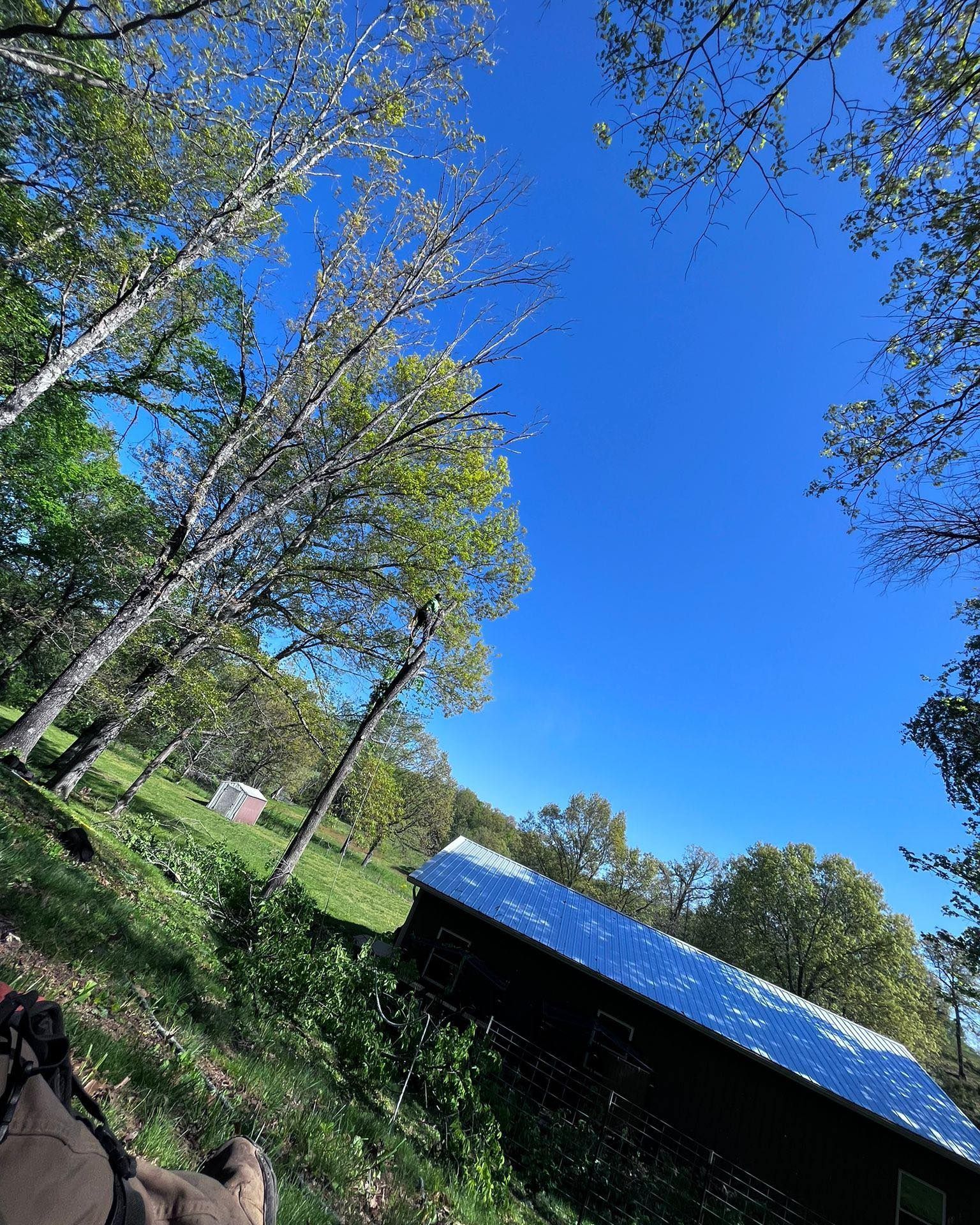 Blue sky over green hillside and trees, with a partially visible building.