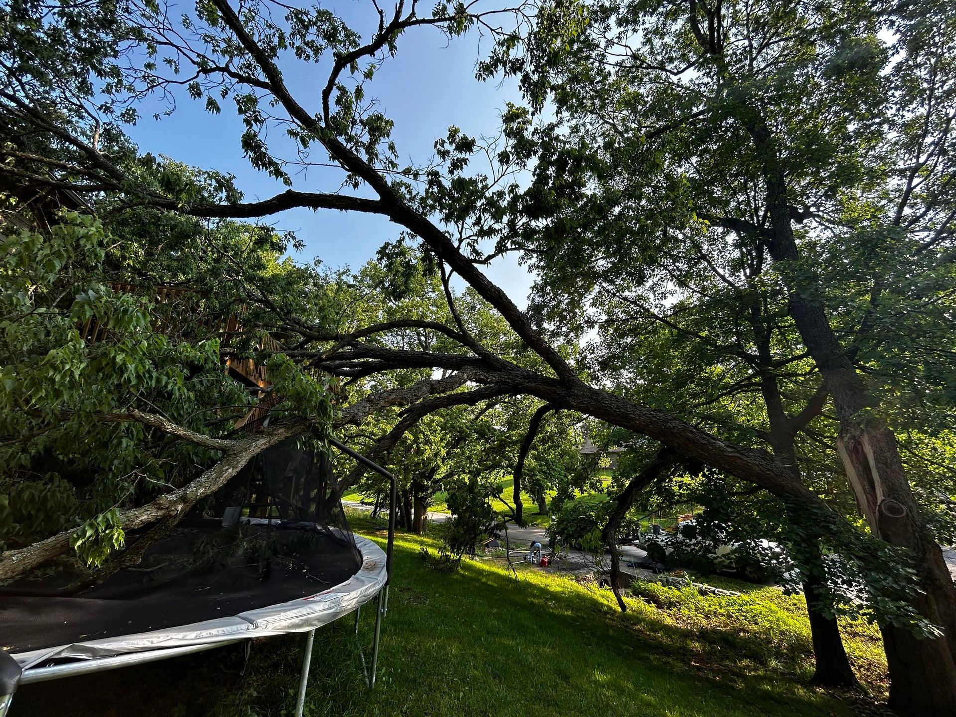 Two people load tree branches into a black trailer on a sunny day.
