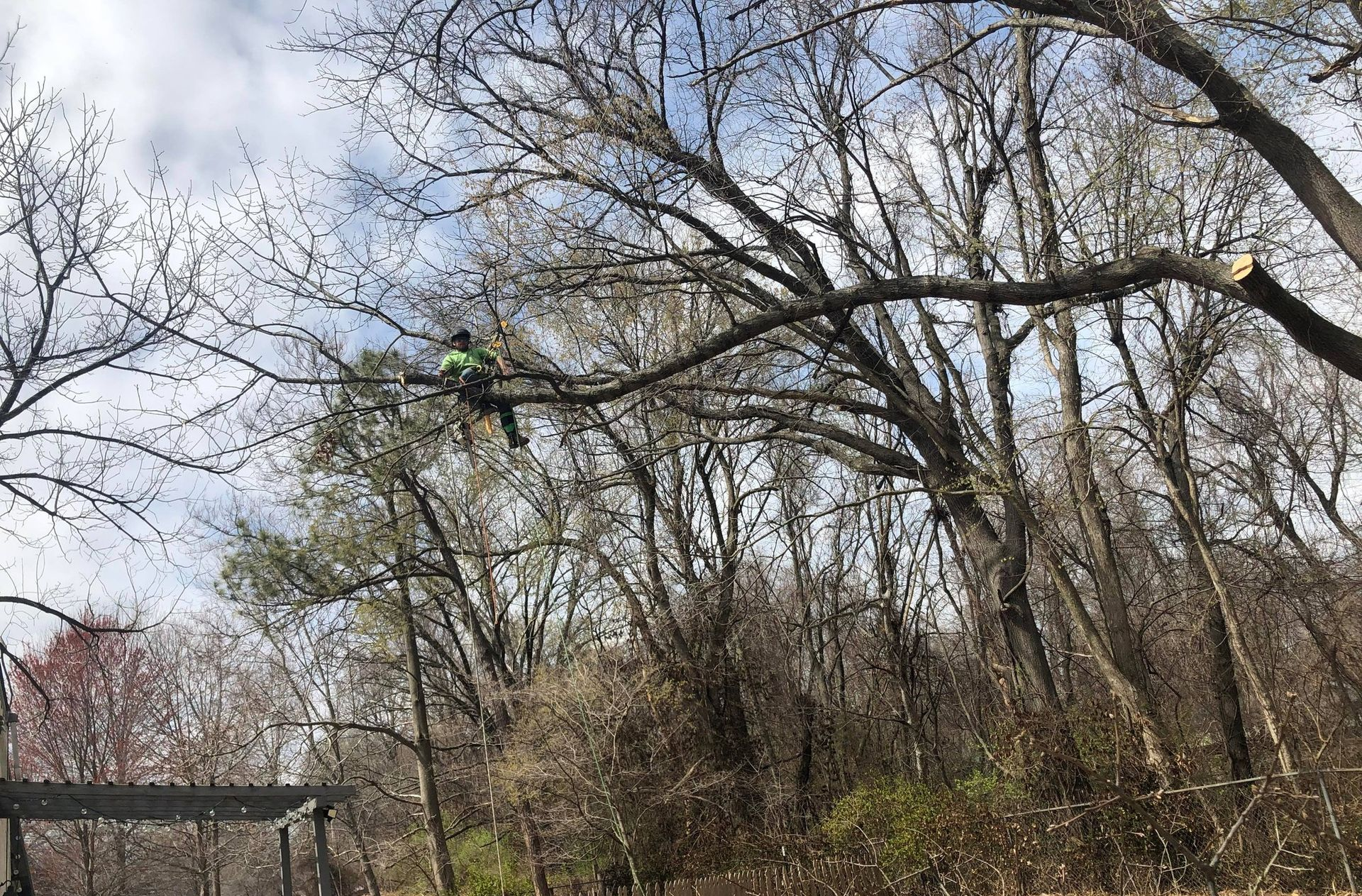 Arborist on a tree branch, sawing off a limb. Cloudy sky, trees in the background.