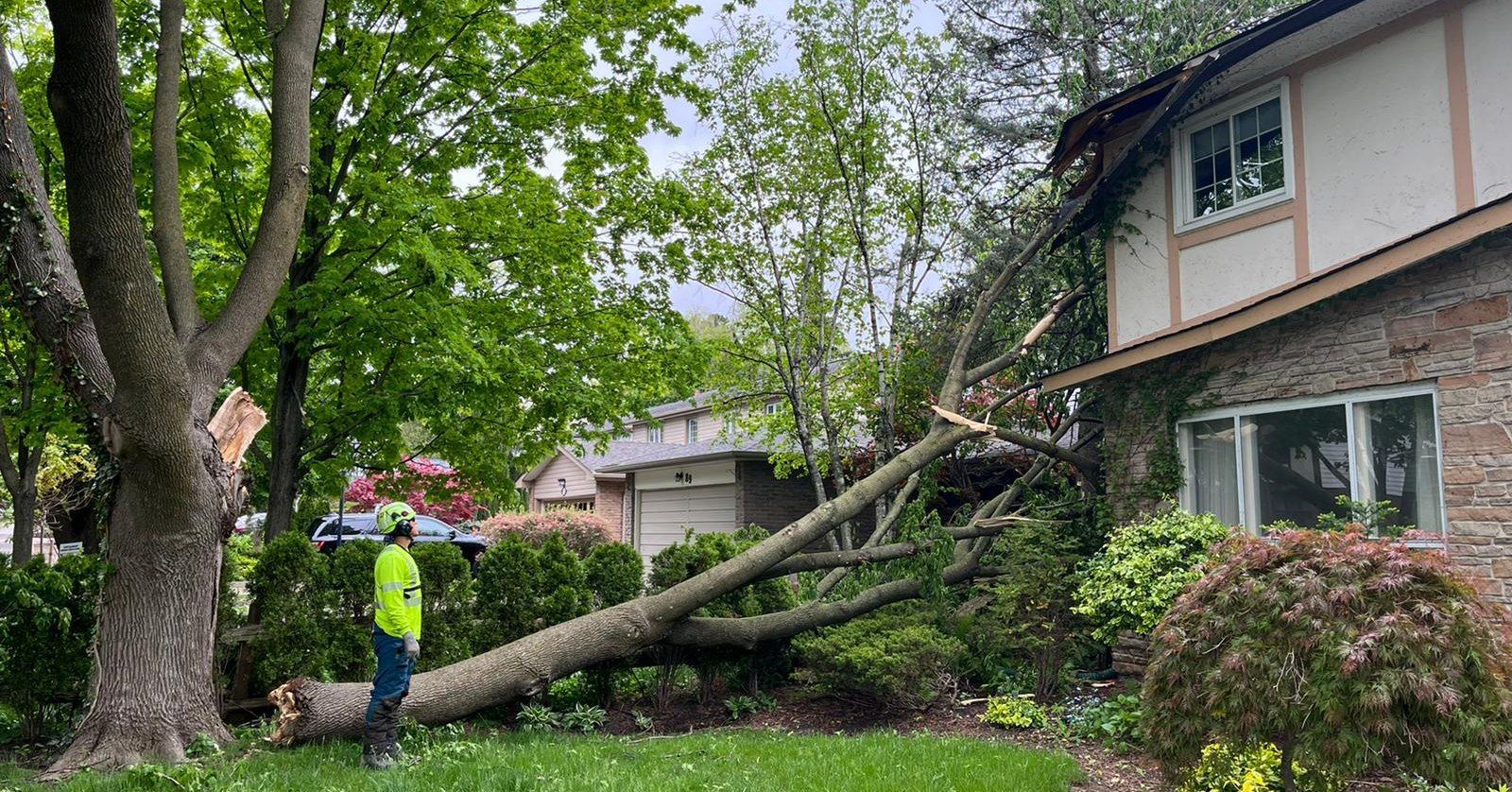 Fallen tree on house; arborist in neon vest assesses damage. Cloudy day, green lawn, beige house with brown roof.