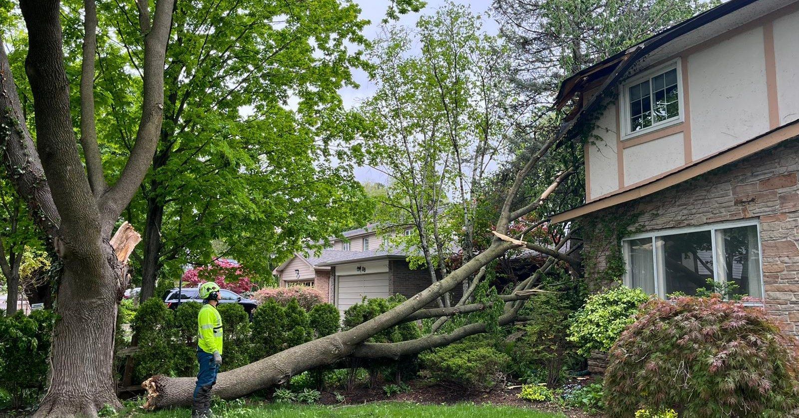 Fallen tree on a house roof. A person in a yellow vest inspects damage. Green grass, cloudy sky.
