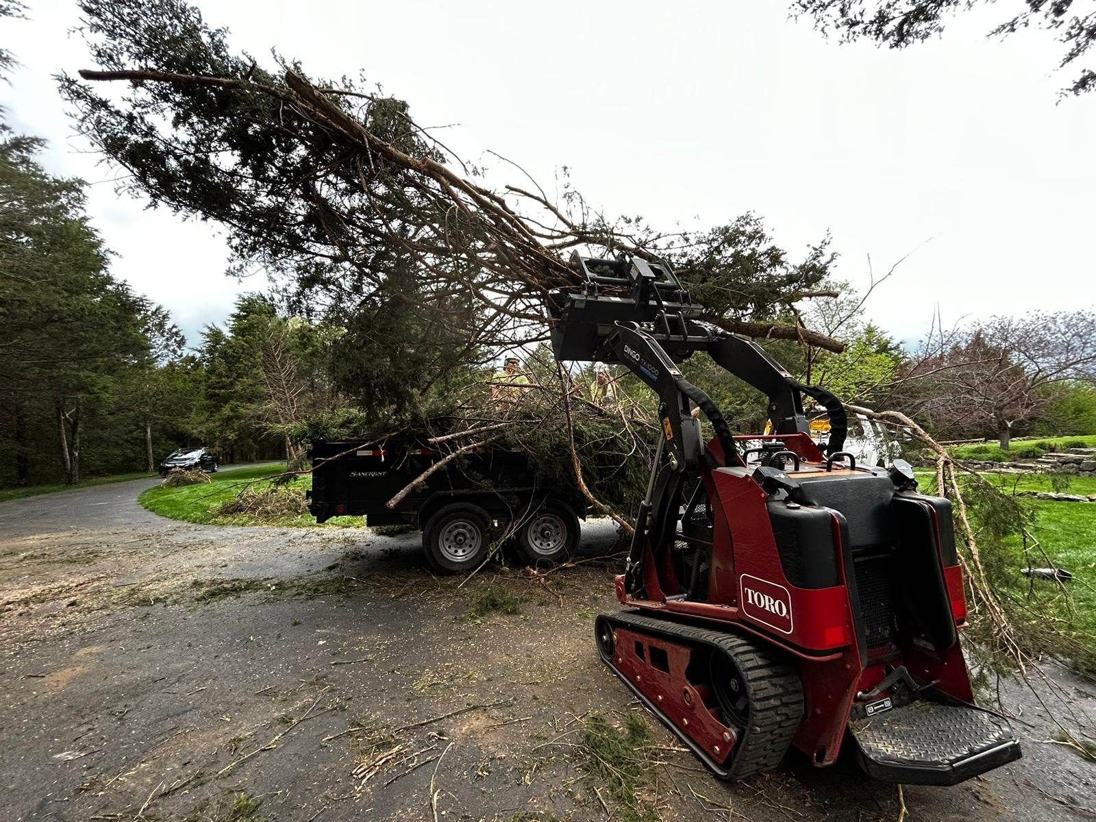 Red track loader placing tree branches into a trailer on a driveway.