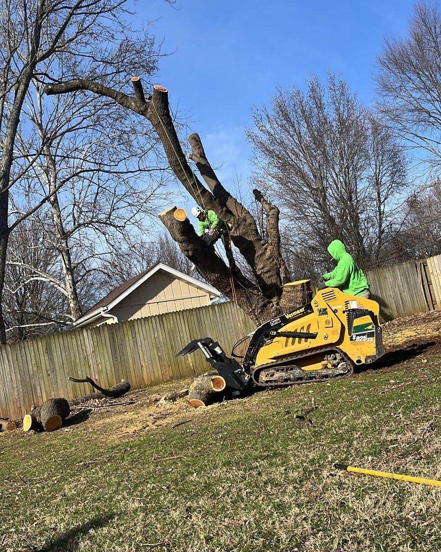Tree removal in progress: Workers in green suits use a skid steer to cut and remove a tree.