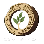 Cross-section of tree trunk surrounding a small tree with green leaves.