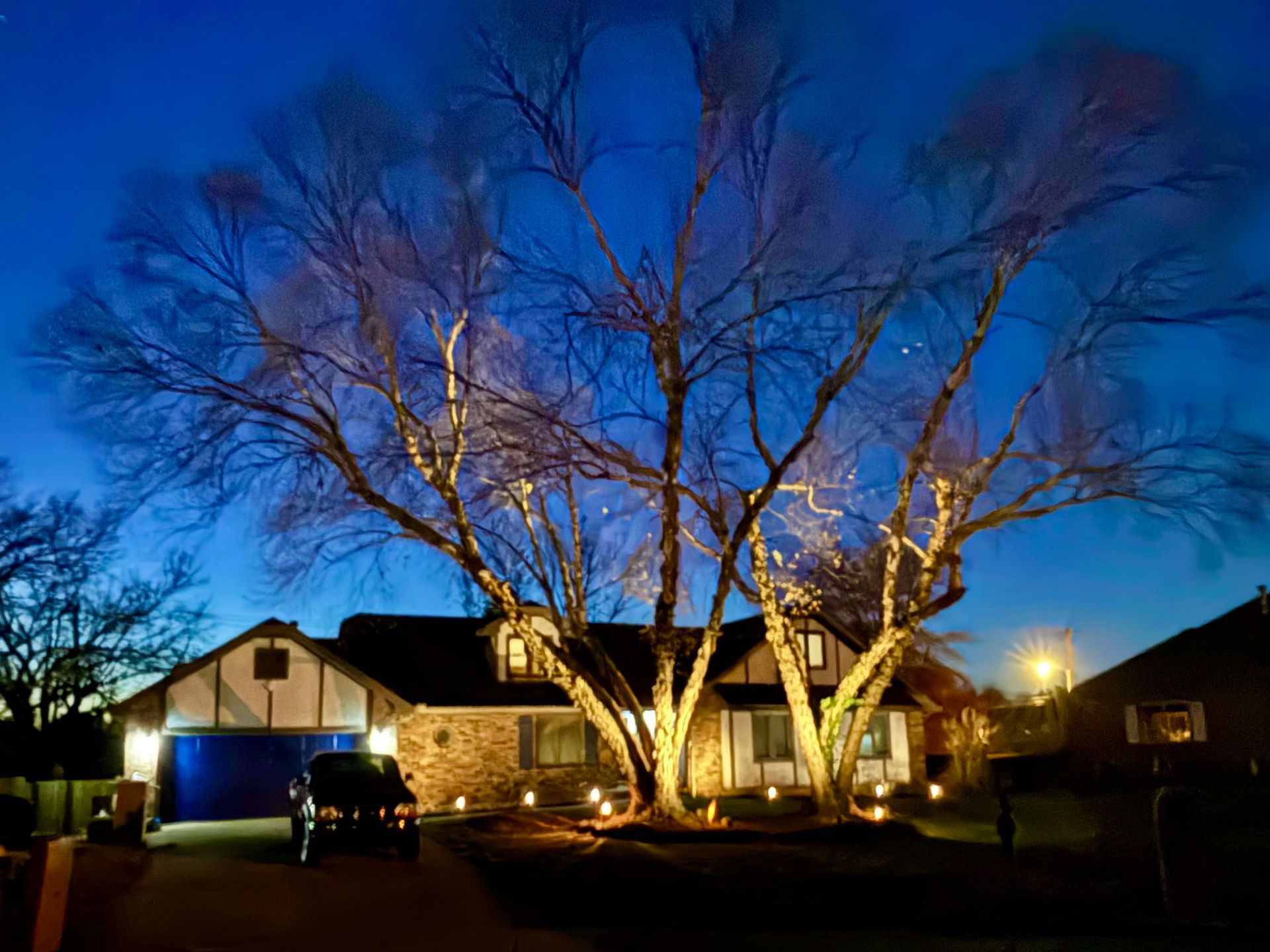 House at dusk, illuminated tree in front. Blue sky. Driveway with car, landscape lights.