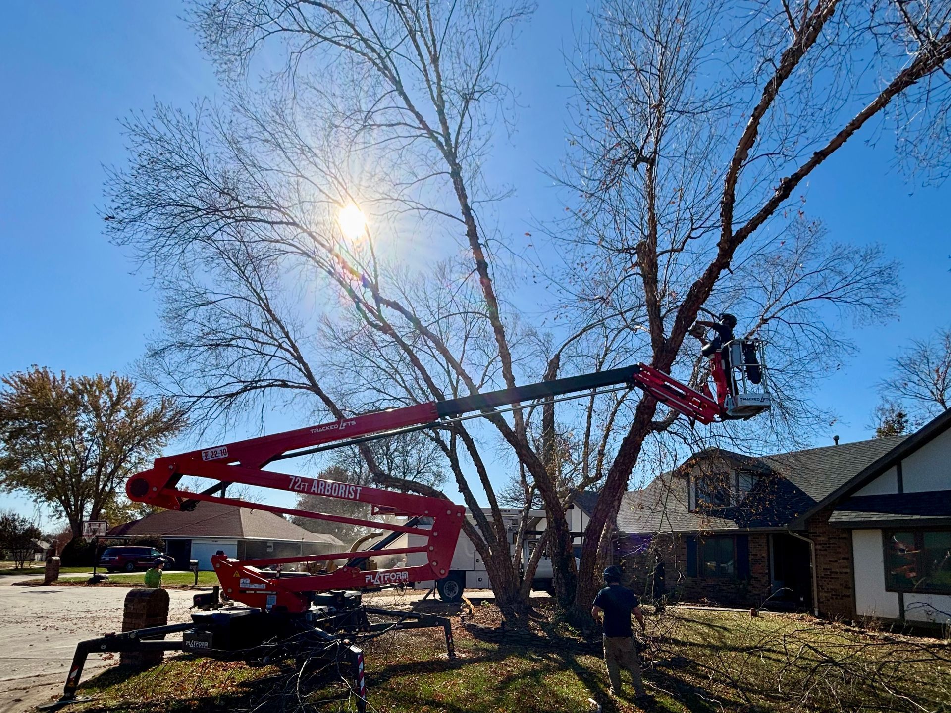 Tree trimming with a red boom lift on a sunny day. A person works in the lift basket. Houses in the background.