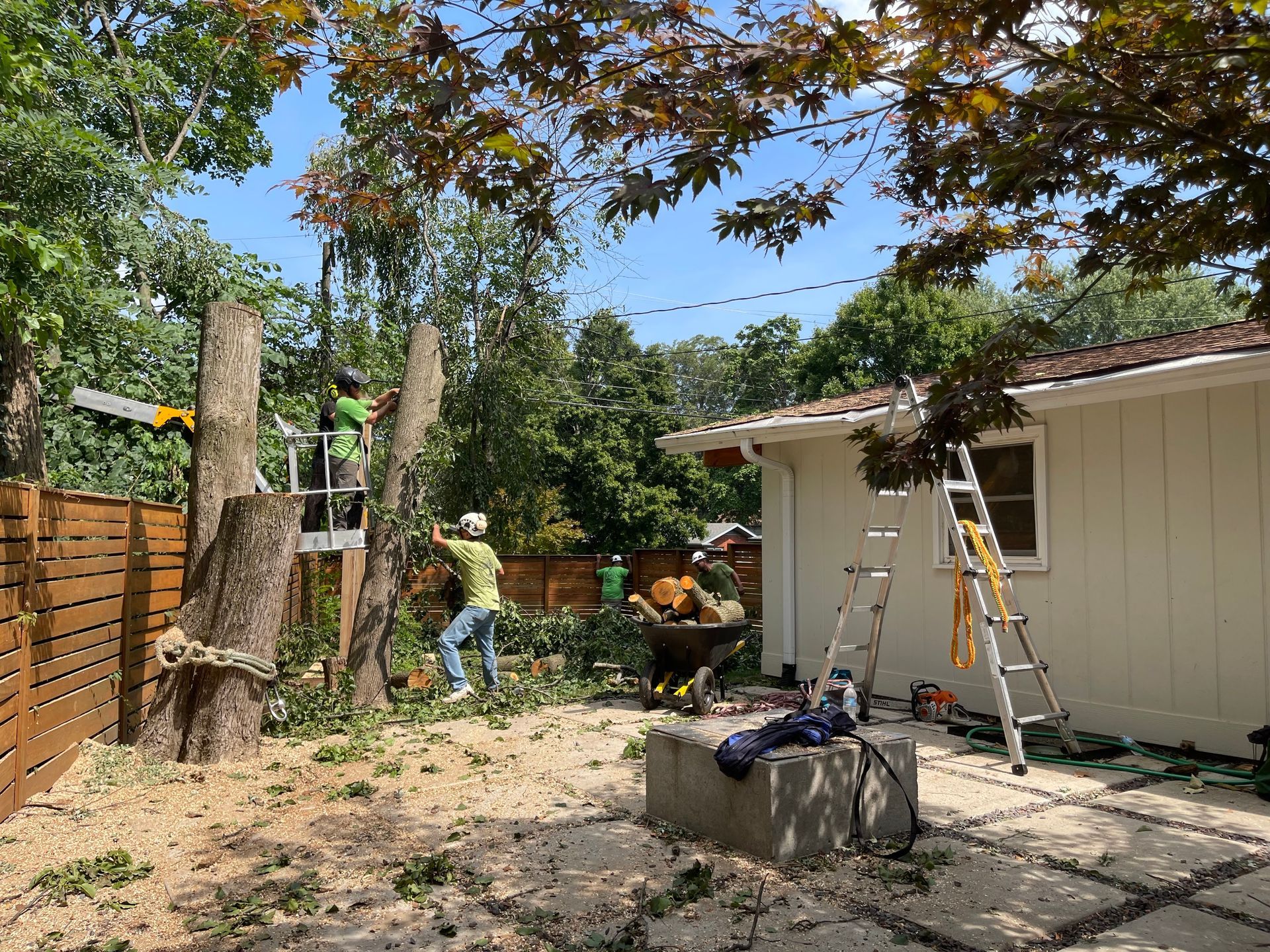 Tree removal in a backyard. Workers cut down trees near a house. Green foliage, wood debris, and a sunny day.