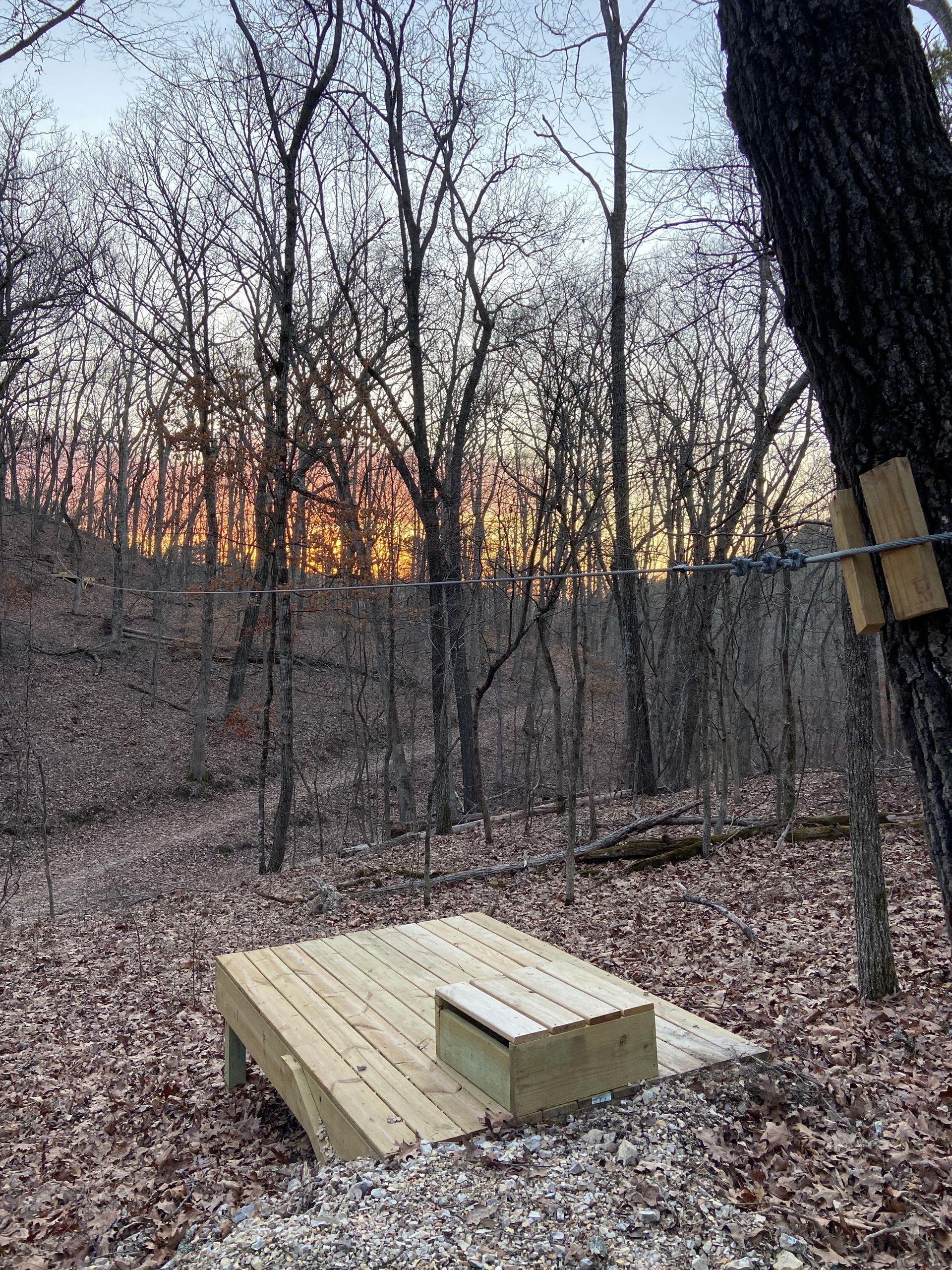 Wooden platform and small box in a wooded area with trees and a sunset.