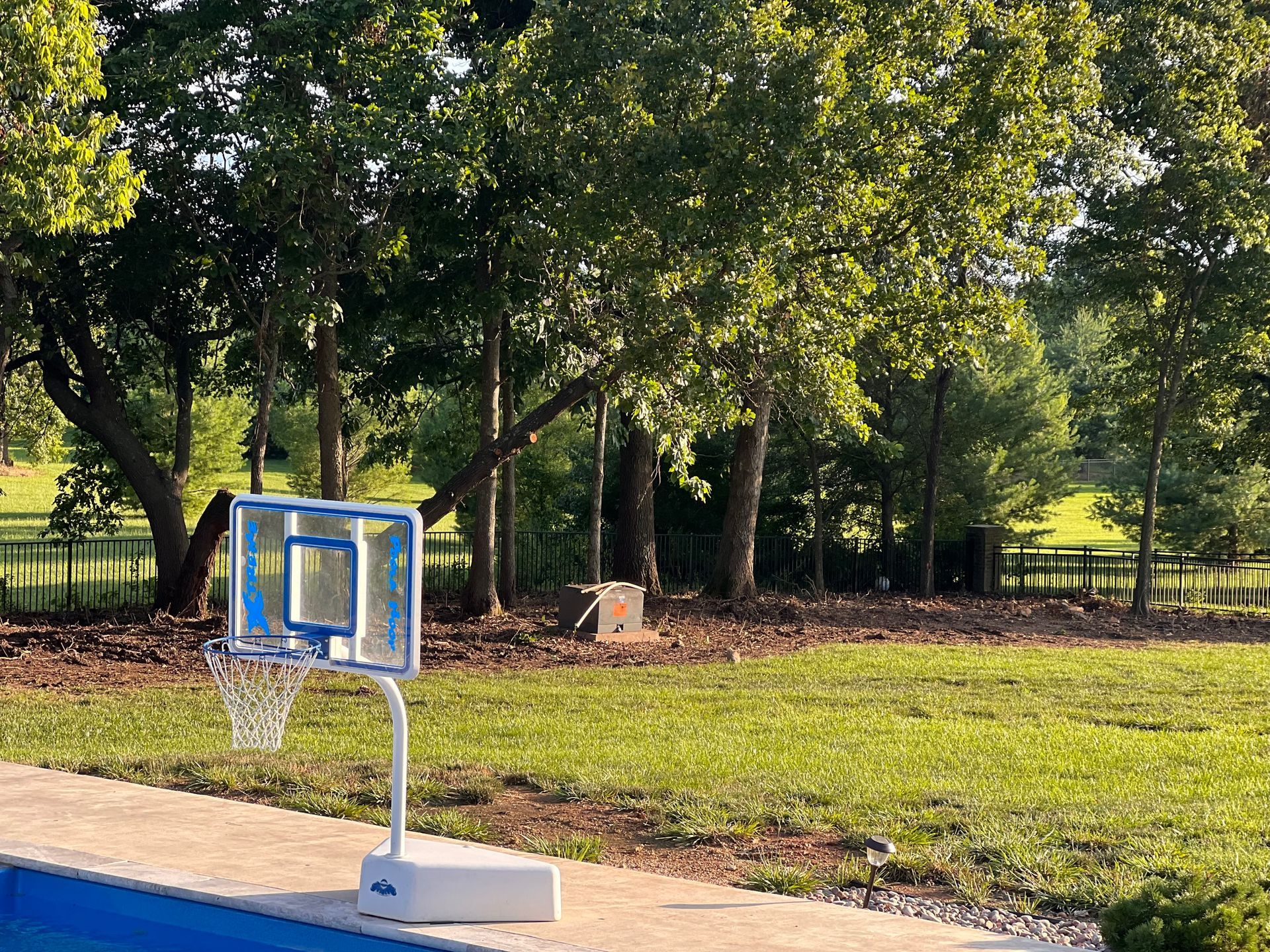 Basketball hoop near a pool, set in a grassy yard with trees in the background.