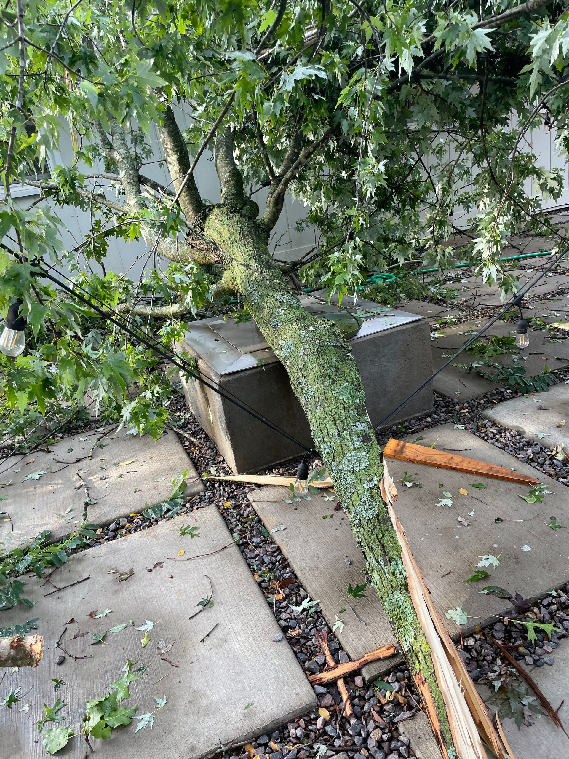 A tree trunk fallen onto two concrete blocks on a paved area with scattered debris.