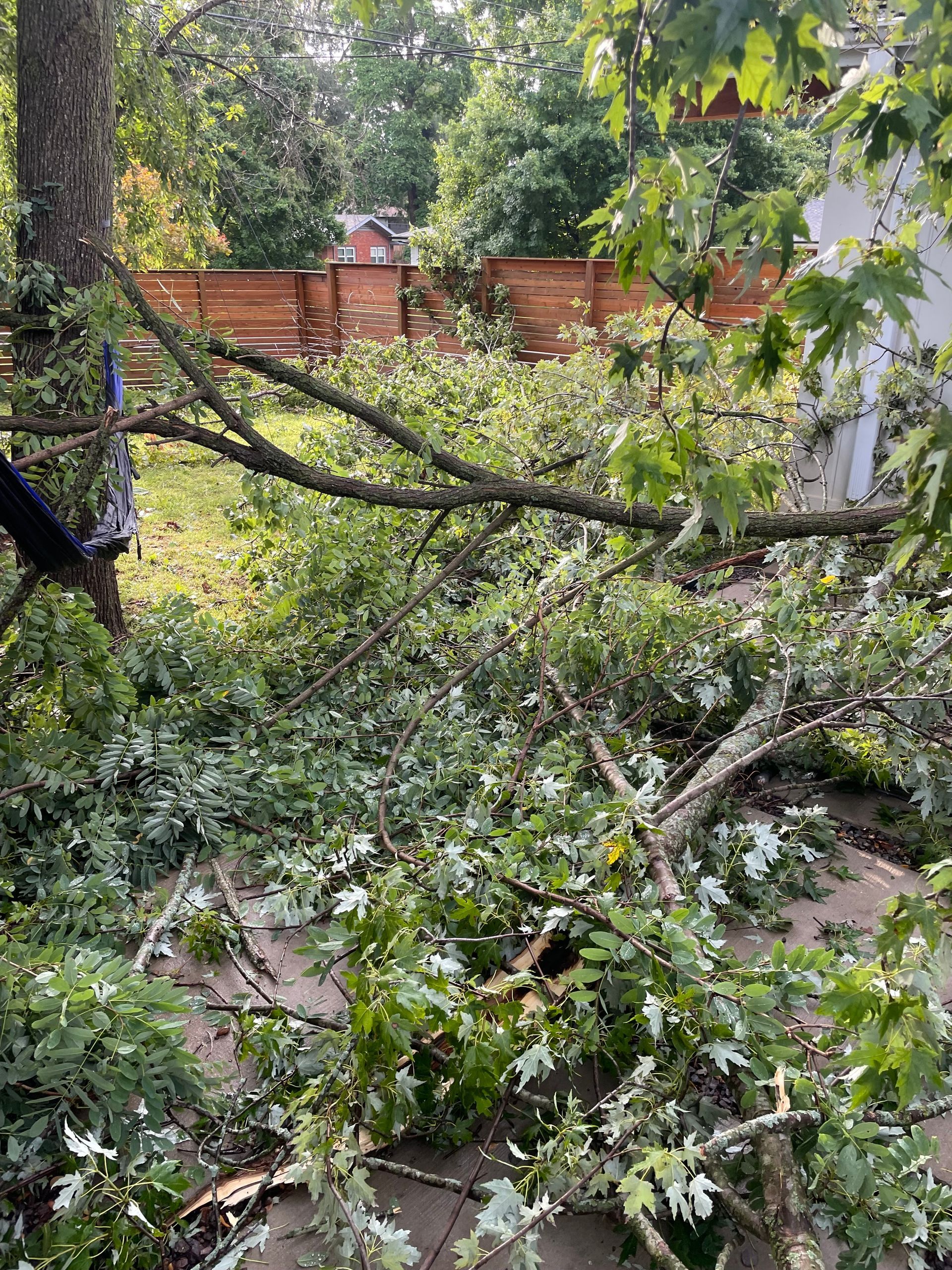 Fallen tree branches and leaves scattered on a concrete patio and lawn. A wooden fence is in the background.