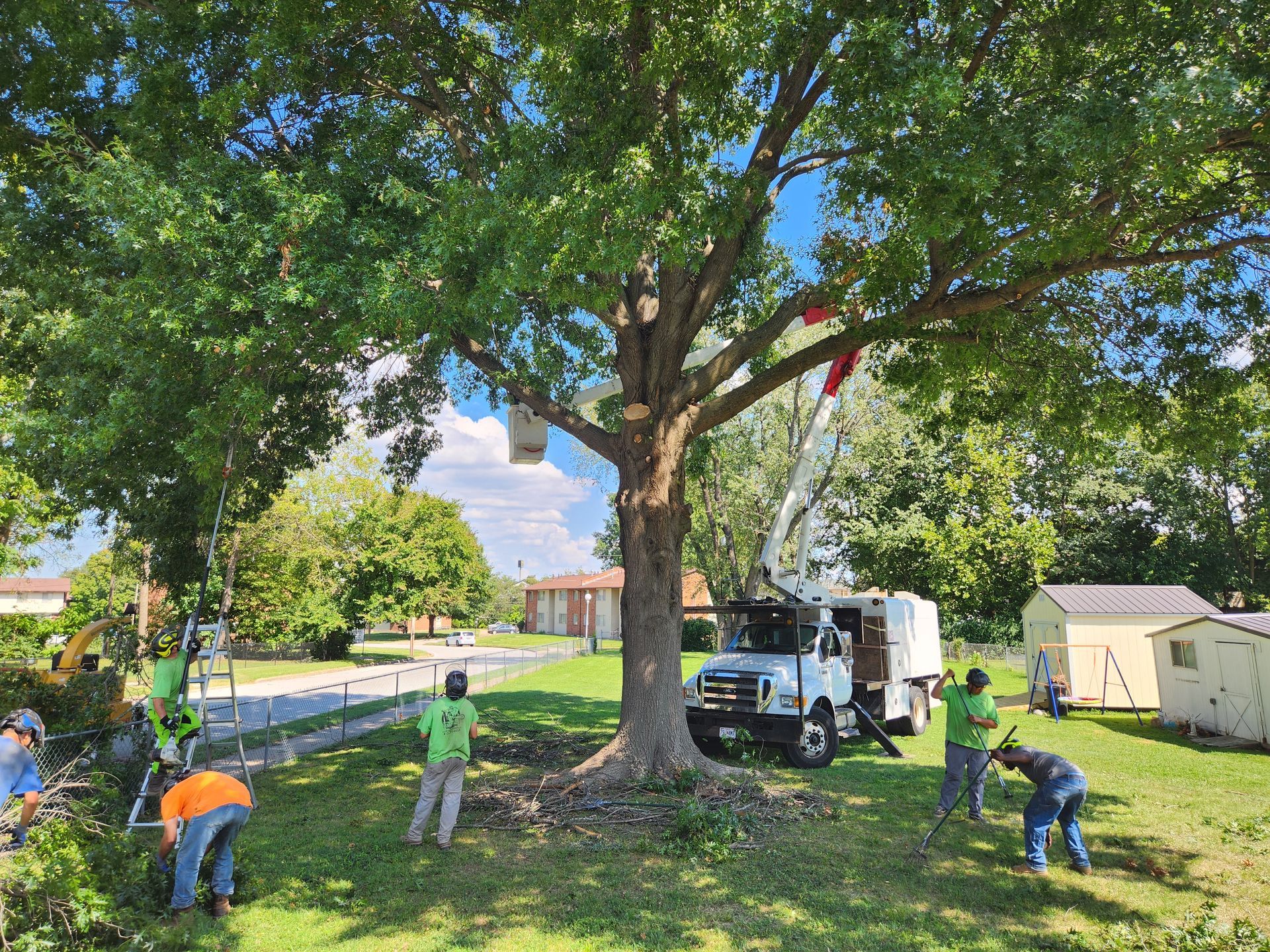 Tree trimming crew working on a large tree with a truck and bucket lift. Green and orange safety gear.