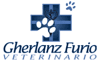Logo Furio Gherlanz
